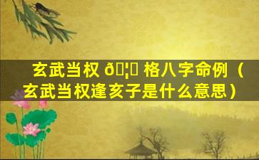 玄武当权 🦊 格八字命例（玄武当权逢亥子是什么意思）